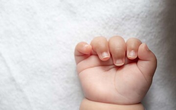 نوزاد عجول در دل برف به دنیا آمد + تصاویر | نام این پسر را چه گذاشتند؟