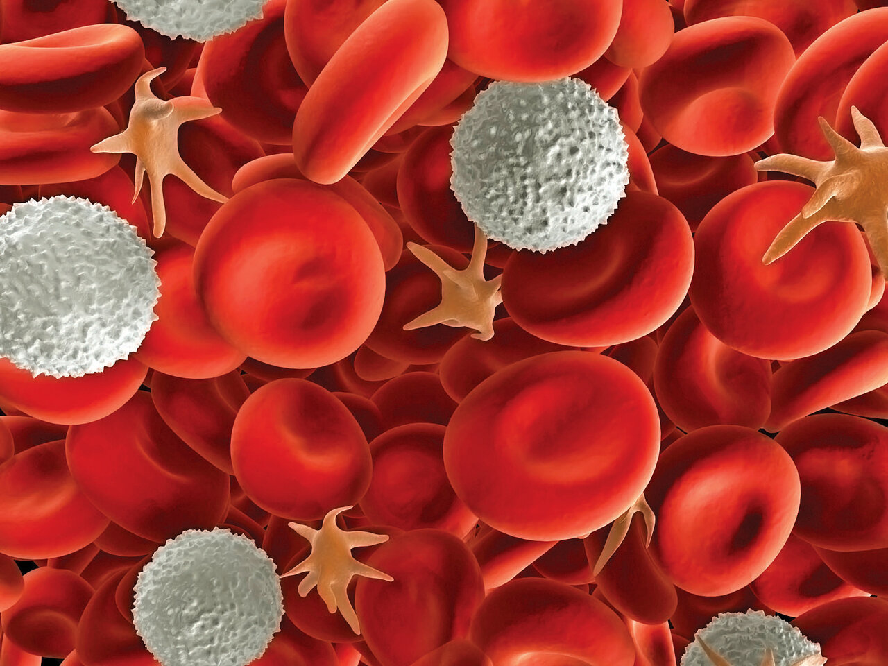 لیستی بینظیر از ۱۰۰ کشف مهم پزشکی در طول تاریخ