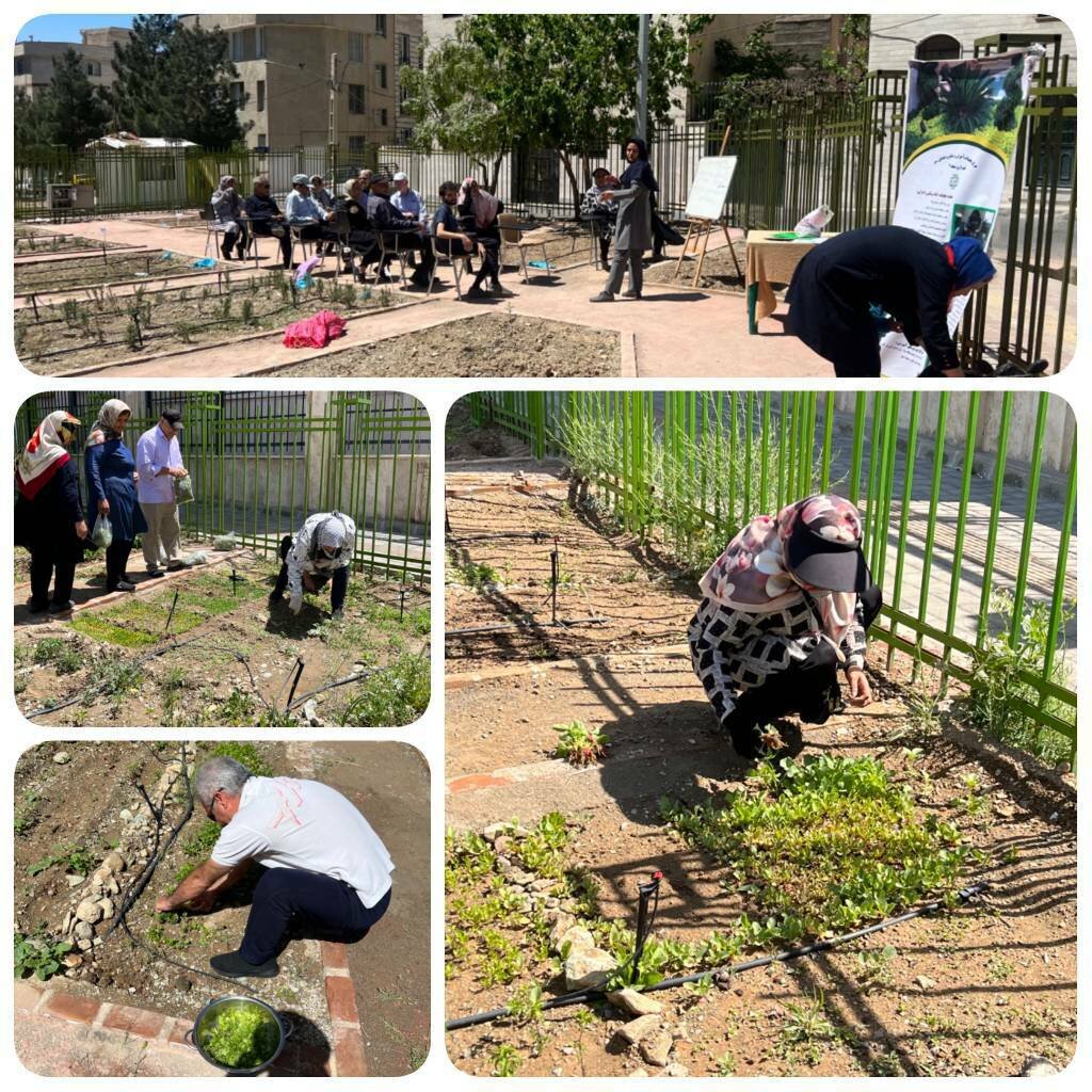 لذت کشاورزی در مزرعه خانواده