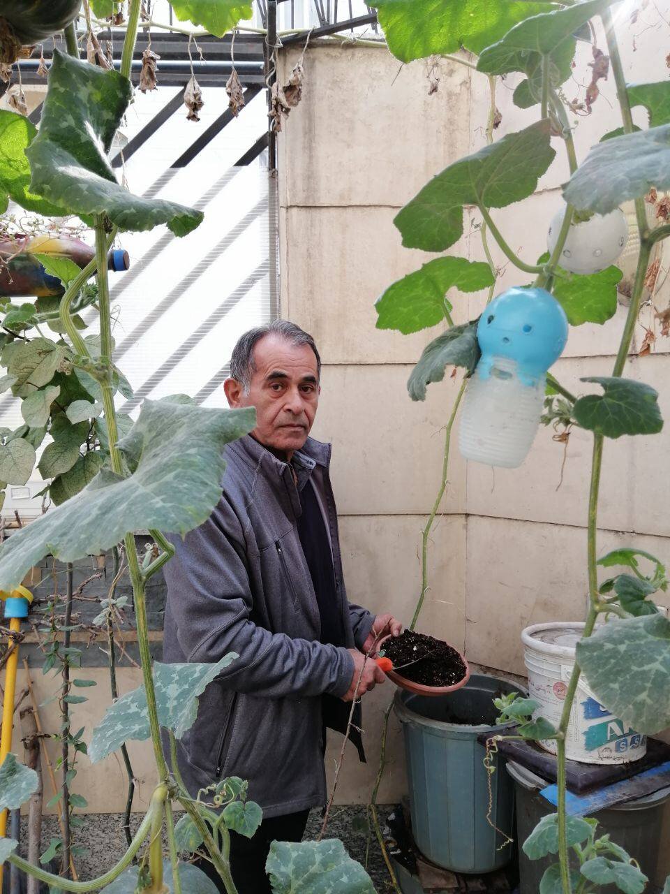 مردی که کمپوست هدیه میدهد | با زباله ثروتمند شوید