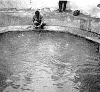 این آب، خوب نانی داشت!