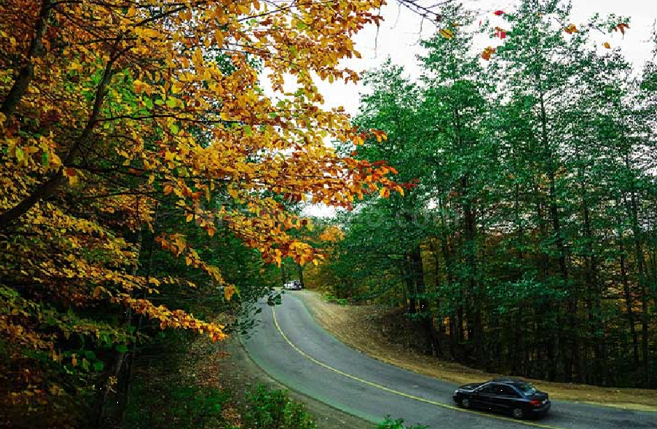 تفاوت های سفر زمینی و هوایی از تهران به مشهد