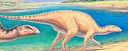اسرار دایناسورهای پوزه اردکی در شیلی | دایناسورهایی که به شیلی کوچ کرده‌اند