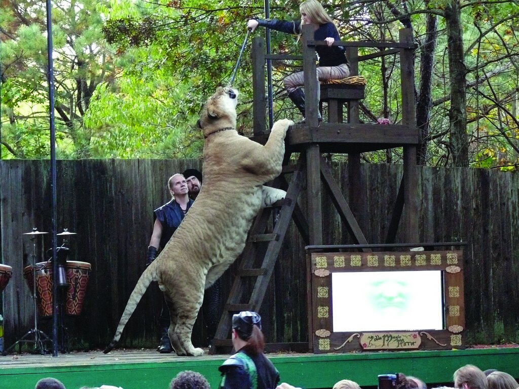 یک گزارش علمی جذاب و خواندنی درباره خلق جانوران دورگه | موجودات و حیوانات اساطیری دوباره خلق میشوند