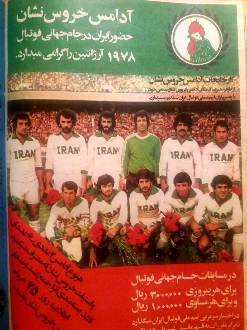 فیلم |خروسی که در سلسبیل وارد تجارت شد