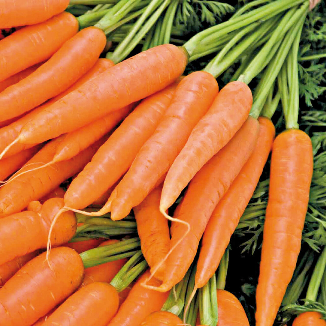 با این میوهها سلامت خود را تضمین کنید