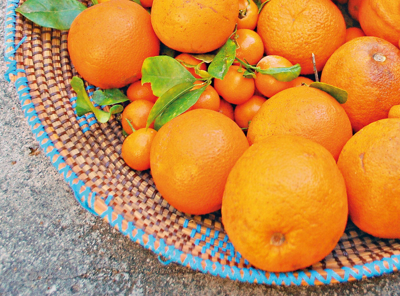 میوهای با هزار و یک خاصیت که قند خون را هم کاهش میدهد