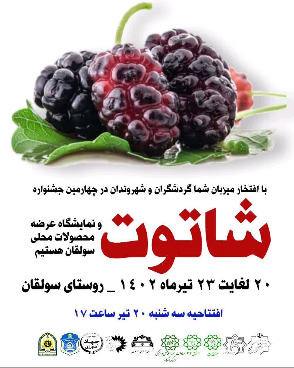 چهارمین جشنواره شاتوت و نمایشگاه محصولات محلی سولقان | فصل میوه ارغوانی تهران رسید