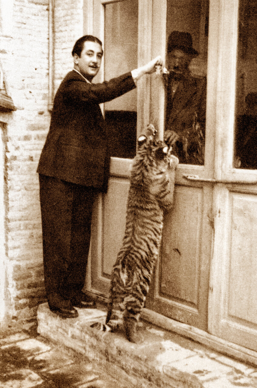 ببرها در جنگلهای مازندران