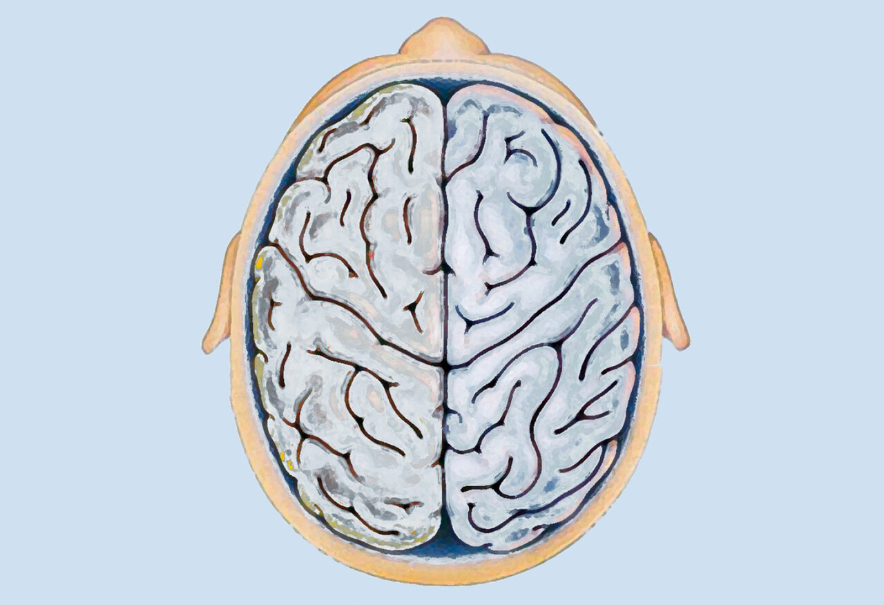 سبزی که قاتل زوال مغز است | با این غذاهای خودتان را باهوش کنید