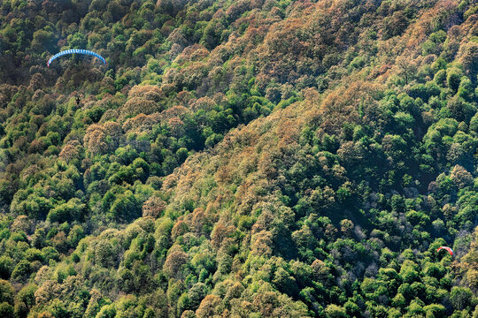 پرندگانی که از بالای سایت تنگه راه در آسمان مینودشت پریدند جنگل‌های تو‌درتوی پارک ملی گلستان را از بالا تماشا کردند.شاید فقط بازهای شکاری این پارک از چنین‌نمایی این جنگل‌ها را دیده ‌باشند.