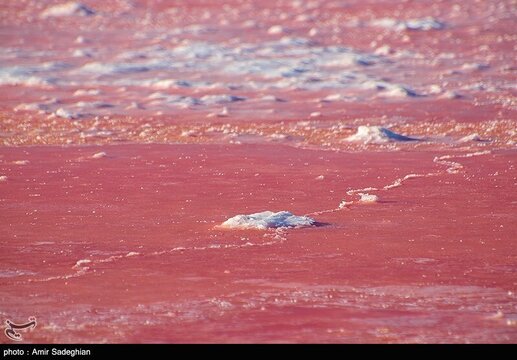 دریاچه مهارلو قرمز شد