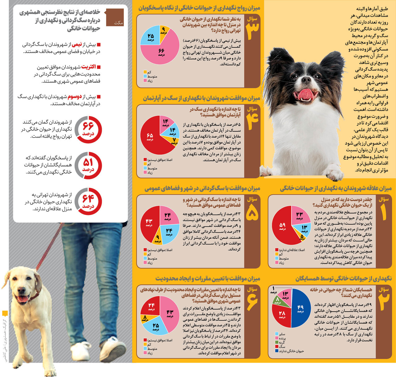 «نه» به آپارتمان‌نشینی سگ‌ها | نظرسنجی همشهری درباره سگ‌گردانی