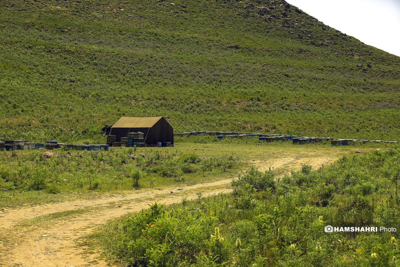 لواسان گردی از گردنه قوچک تا دشت لار