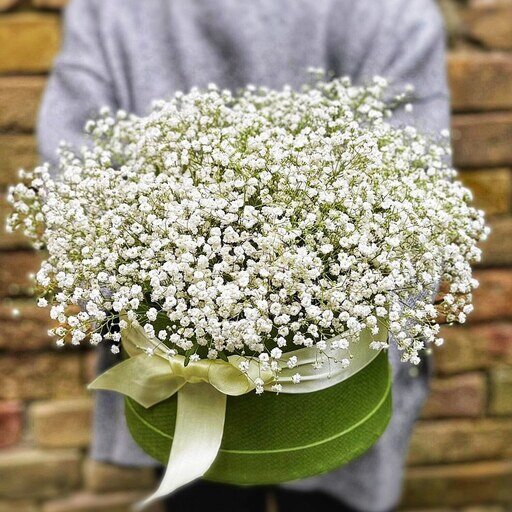 ۲۰ نام عجیبی که ایرانیها روی گلها گذاشتهاند؛ از گل قهر نکن تا گل وزغ و شیشه شور | این گل به ساعت ۴ معروف است! + عکس