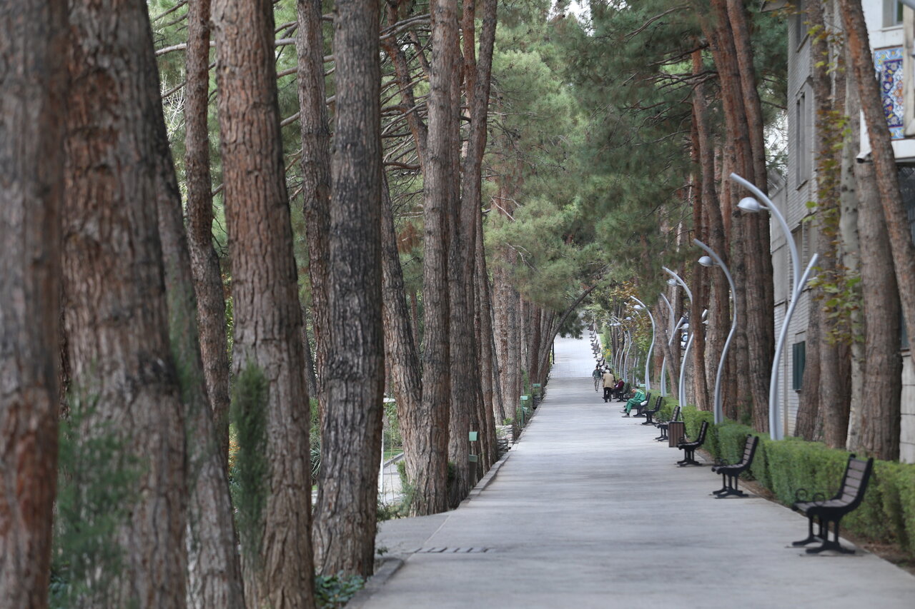 ارزان‌ترین پارک تهران را چه کسی ساخت؟ | یک باغبان و چند کارگر ساده، همه امکانات پدر جنگلبانی ایران