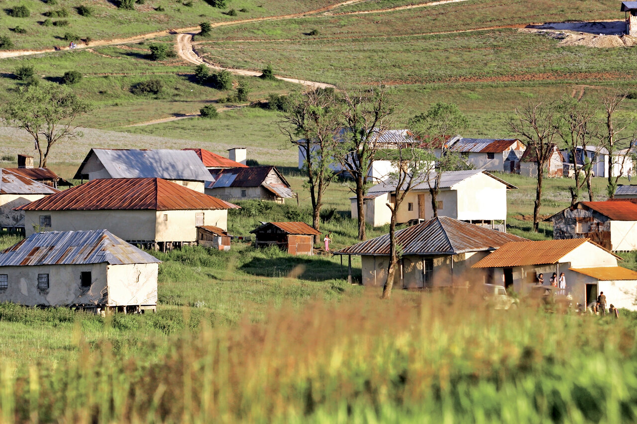 با سفر به این جنگل میتوانید ابرها را در آغوش بگیرید