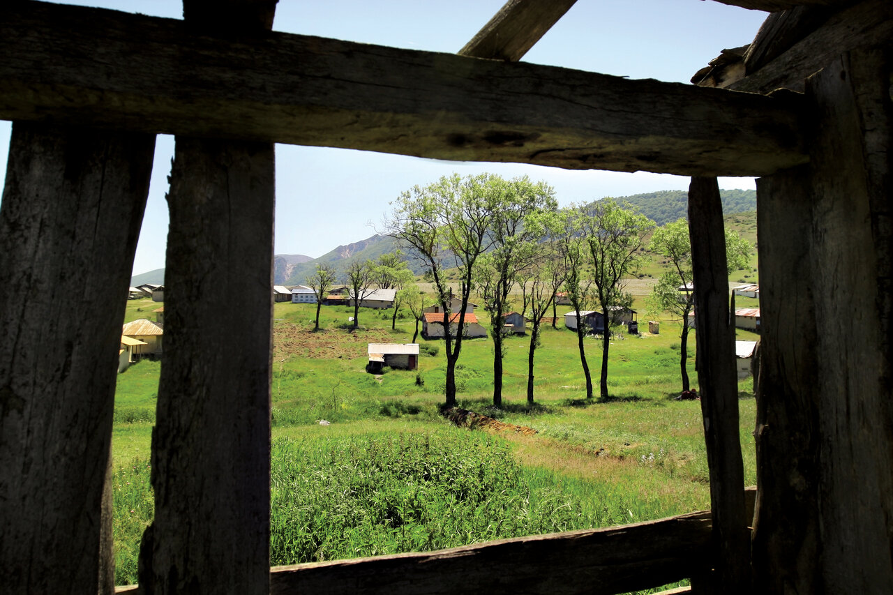 با سفر به این جنگل میتوانید ابرها را در آغوش بگیرید