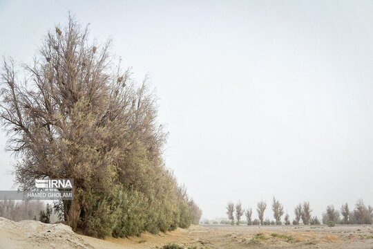 دفن خانه‌ها زیر طوفان شن در سیستان
