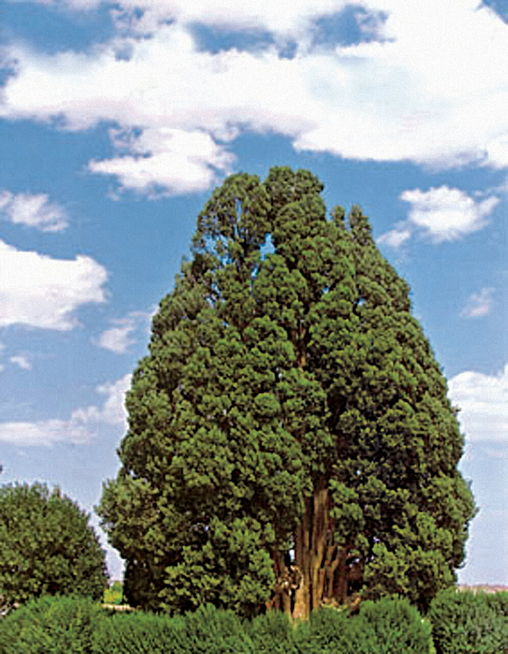 سفر به بزرگترین شهر خشتی جهان