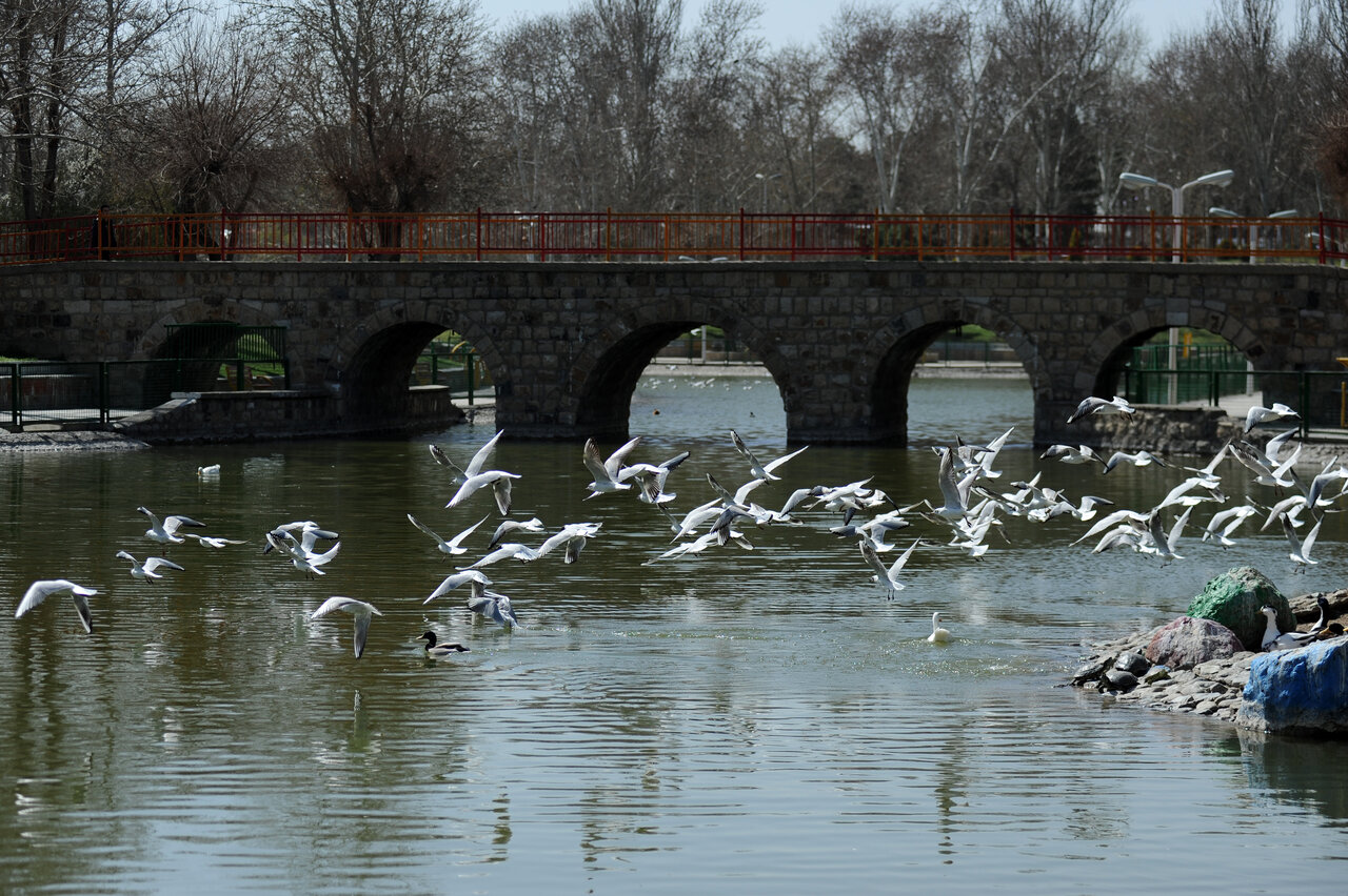 نمادهای هویتساز منطقه۱۶ را میشناسید؟