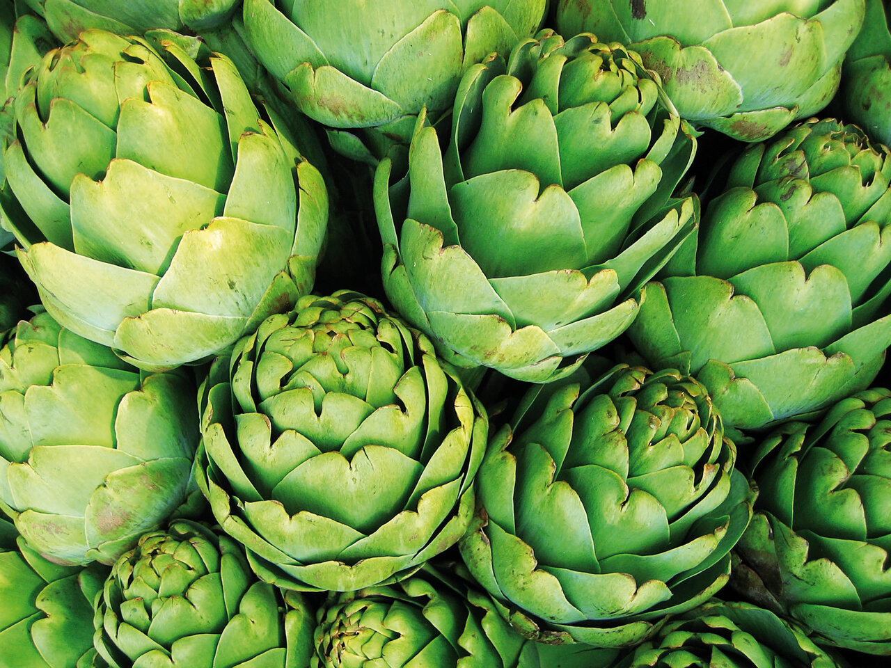 چربی خون را با این درمانهای خانگی کاهش دهید