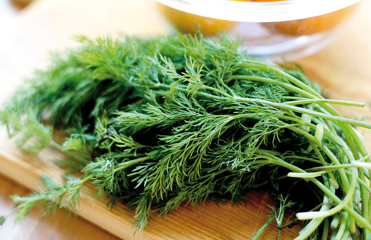 چربی خون را با این درمانهای خانگی کاهش دهید