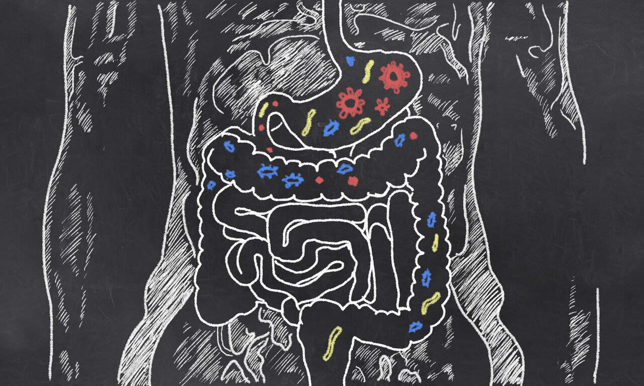 leaky gut