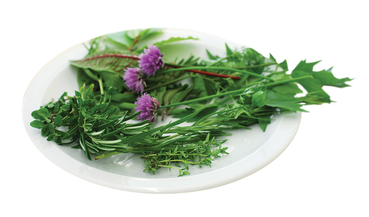 با این روش نفخ شکم را برای همیشه ضربه فنی کنید