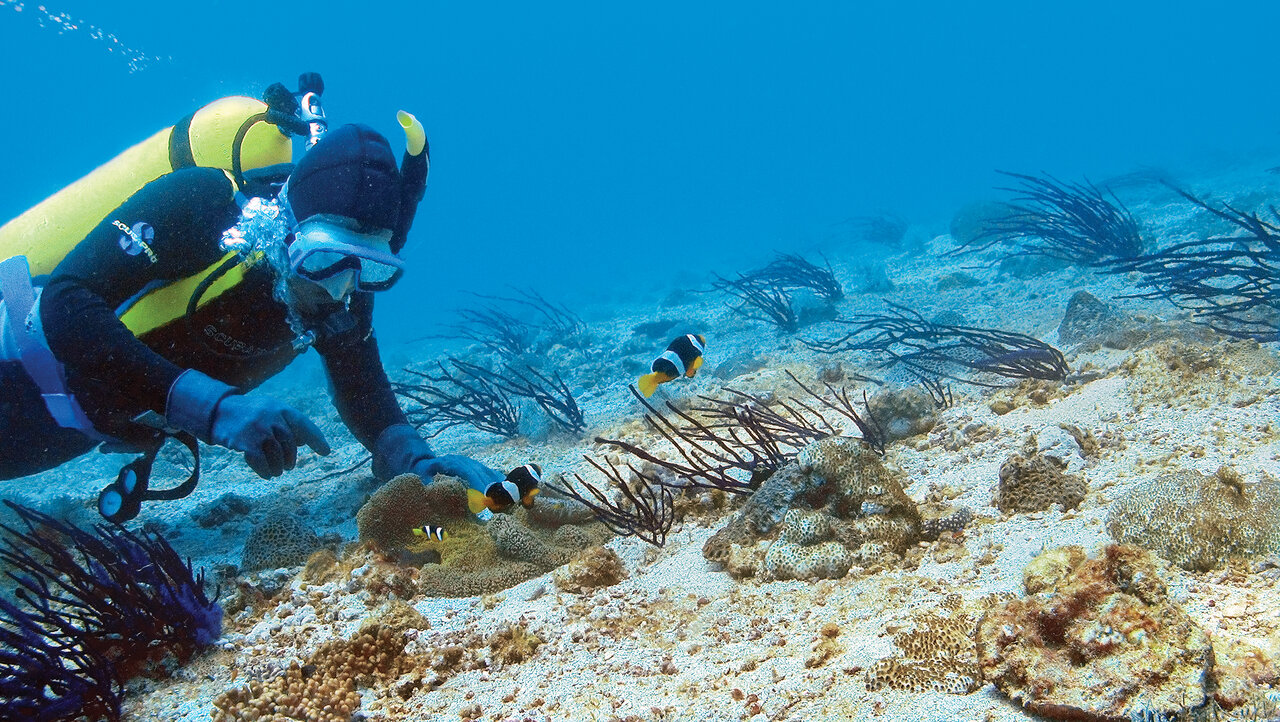 خانهی سمی زیباترین دلقک جهان در ایران
