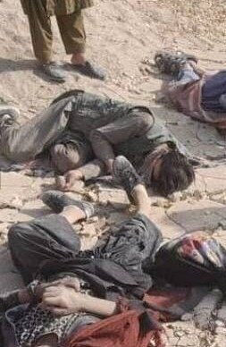 ماجرای جنجال انتشار تصاویر کشته‌ شدن اتباع افغانستان در مرز ایران | واکنش مهم مرزبانی ایران