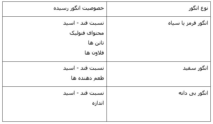 فصل برداشت میوه انگور و آشنایی با بهترین روش برداشت و نگهداری از میوه انگور