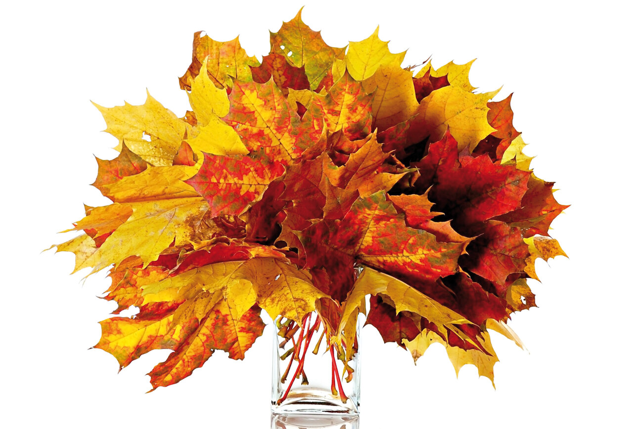 با کمترین هزینه خاصترین دکور را برای خانه طراحی کنید