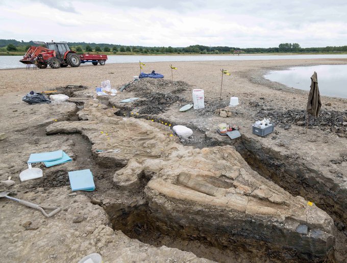 عکس | اژدهای دریایی ۱۸۰ میلیون ساله که شکارچیها را شکار میکرد! | چرا فسیل این ایکتیوسور خاص است؟