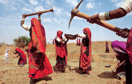 در طول فصل خشک، فعالیت گله‌داری کم می‌شود و کارهای روزمره ربری‌ها تغییر می‌کند. در راجستان زنان به کارهای سخت و روزمزد مانند كندن درياچه پشت سد براي دستمزد روزي 2 دلار می‌پردازند. 