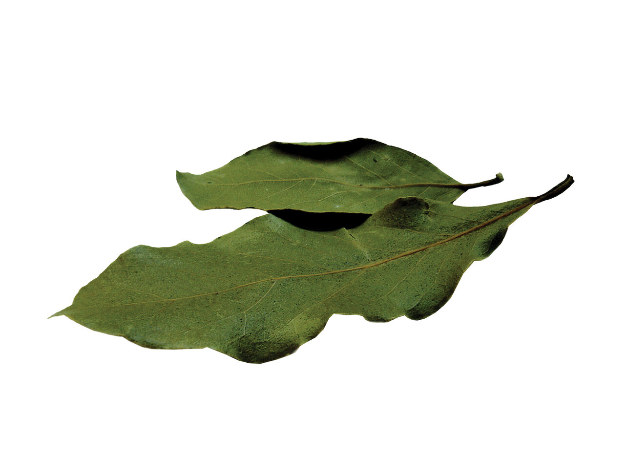 گیاهان خاصی که غذاهای شما را معطر و خوشمزهتر میکنند