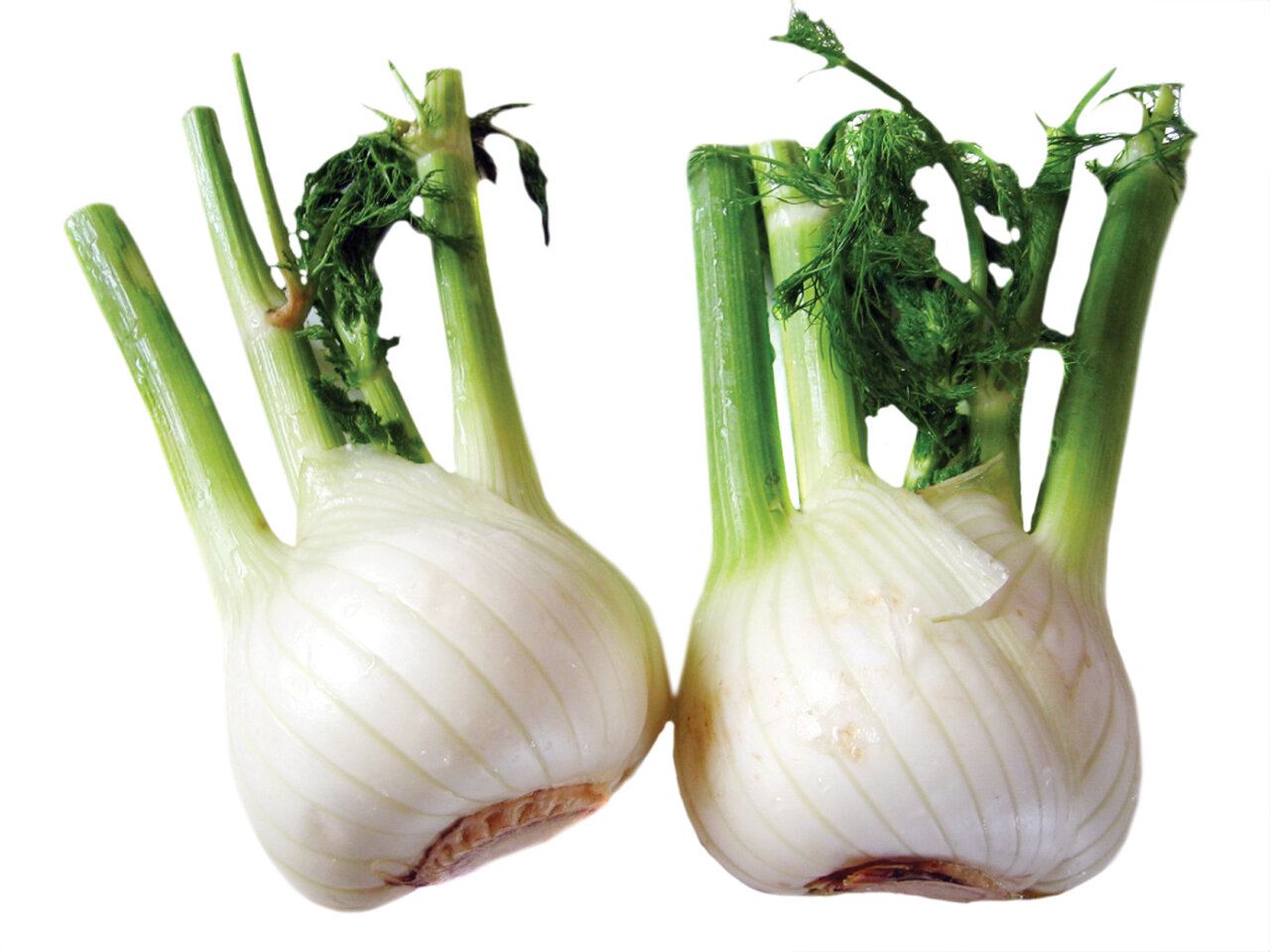 گیاهان خاصی که غذاهای شما را معطر و خوشمزهتر میکنند