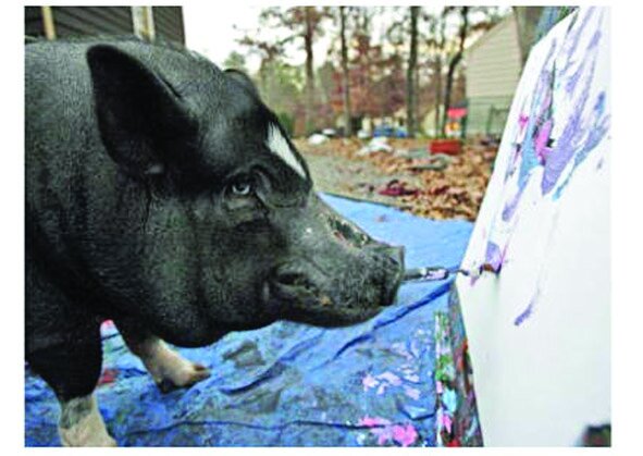 تصاویر حیوانات خارقالعادهای که نقاشی میکشند