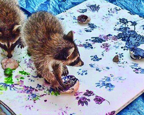 تصاویر حیوانات خارق‌العاده‌ای که نقاشی می‌کشند