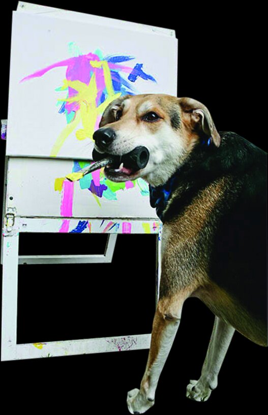 تصاویر حیوانات خارقالعادهای که نقاشی میکشند