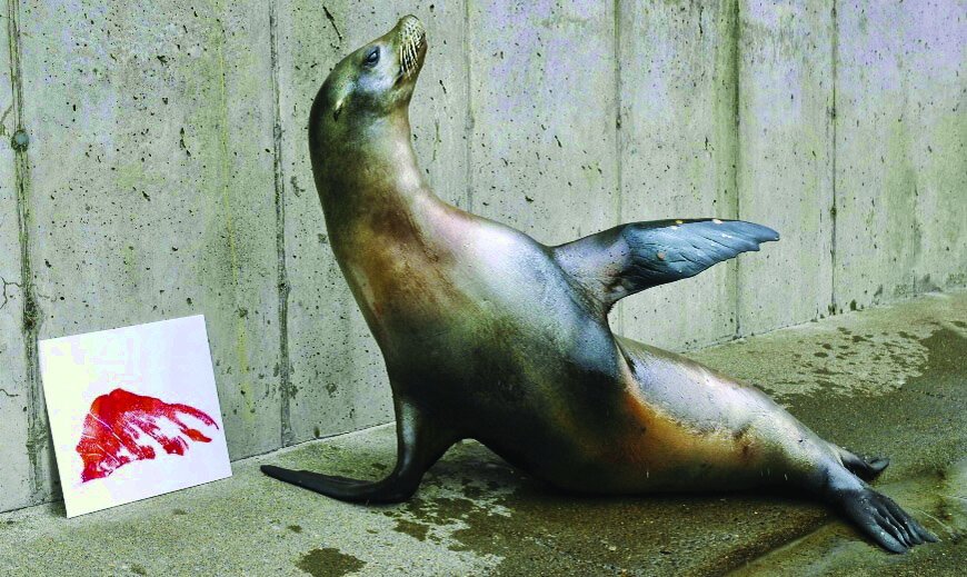 تصاویر حیوانات خارقالعادهای که نقاشی میکشند