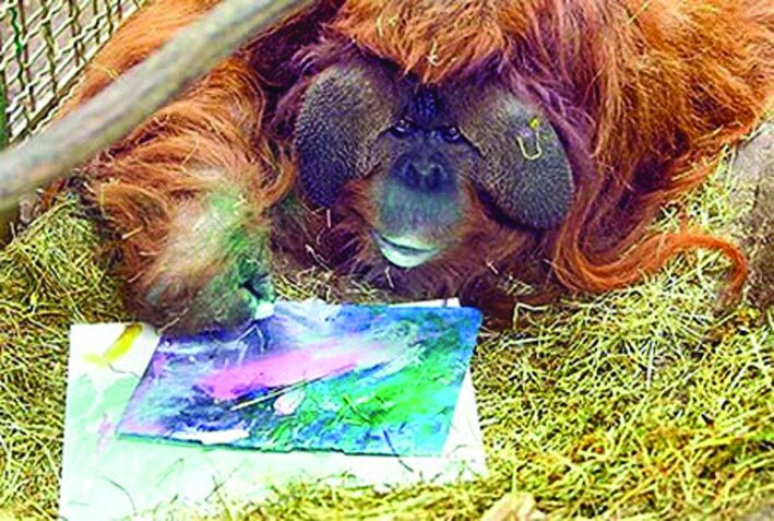 تصاویر حیوانات خارقالعادهای که نقاشی میکشند