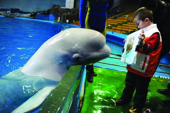 تصاویر حیوانات خارقالعادهای که نقاشی میکشند