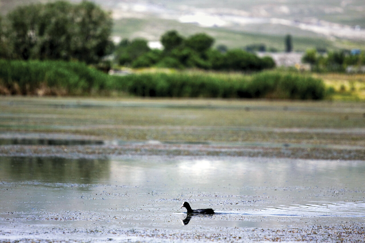 شهری در ایران که کسی آنجا تب نمیکند