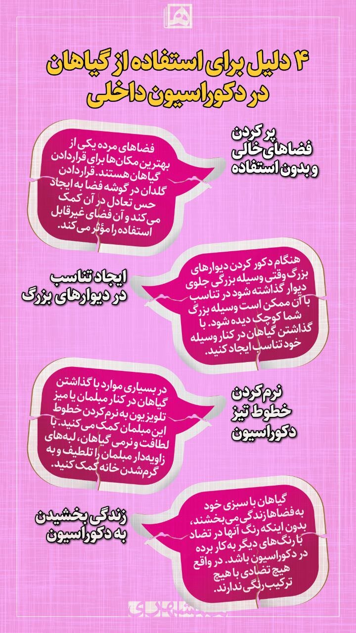 ۴ دلیل برای استفاده از گیاهان در دکوراسیون داخلی