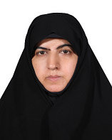 زنان مجلس چه میگویند؟