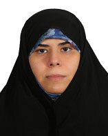 زنان مجلس چه میگویند؟