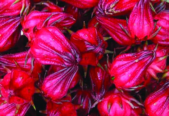 این مواد غذایی خونتان را تصفیه میکند