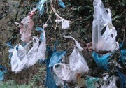 اینفوگرافیک | هیولای کیسه پلاستیکی !  | آمارهای تامل برانگیز مصرف پلاستیک در ایران