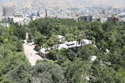 ۲ پلاک ثبتی در تهران به عنوان باغ شناسایی شدند